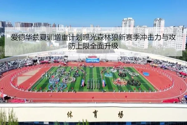img_1785139533279_830_1_112.jpg